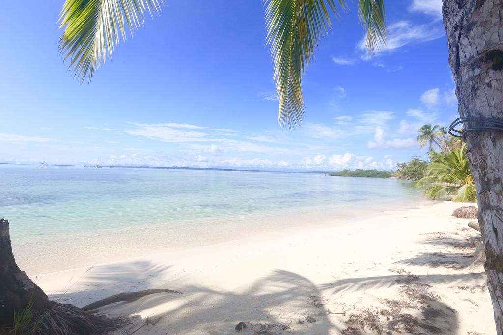 Azul Paradise Bastimentos Bagian luar foto