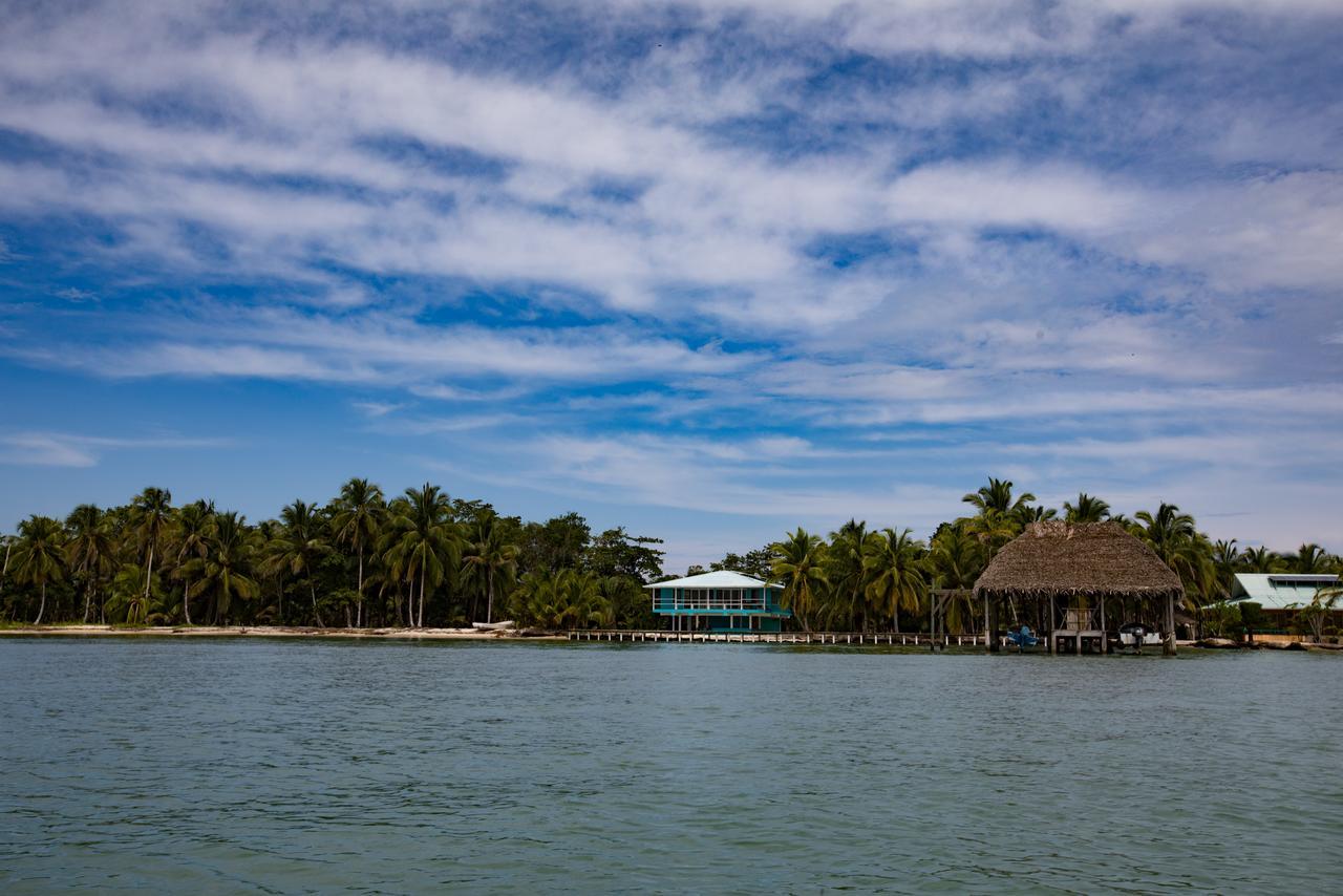 Azul Paradise Bastimentos Bagian luar foto
